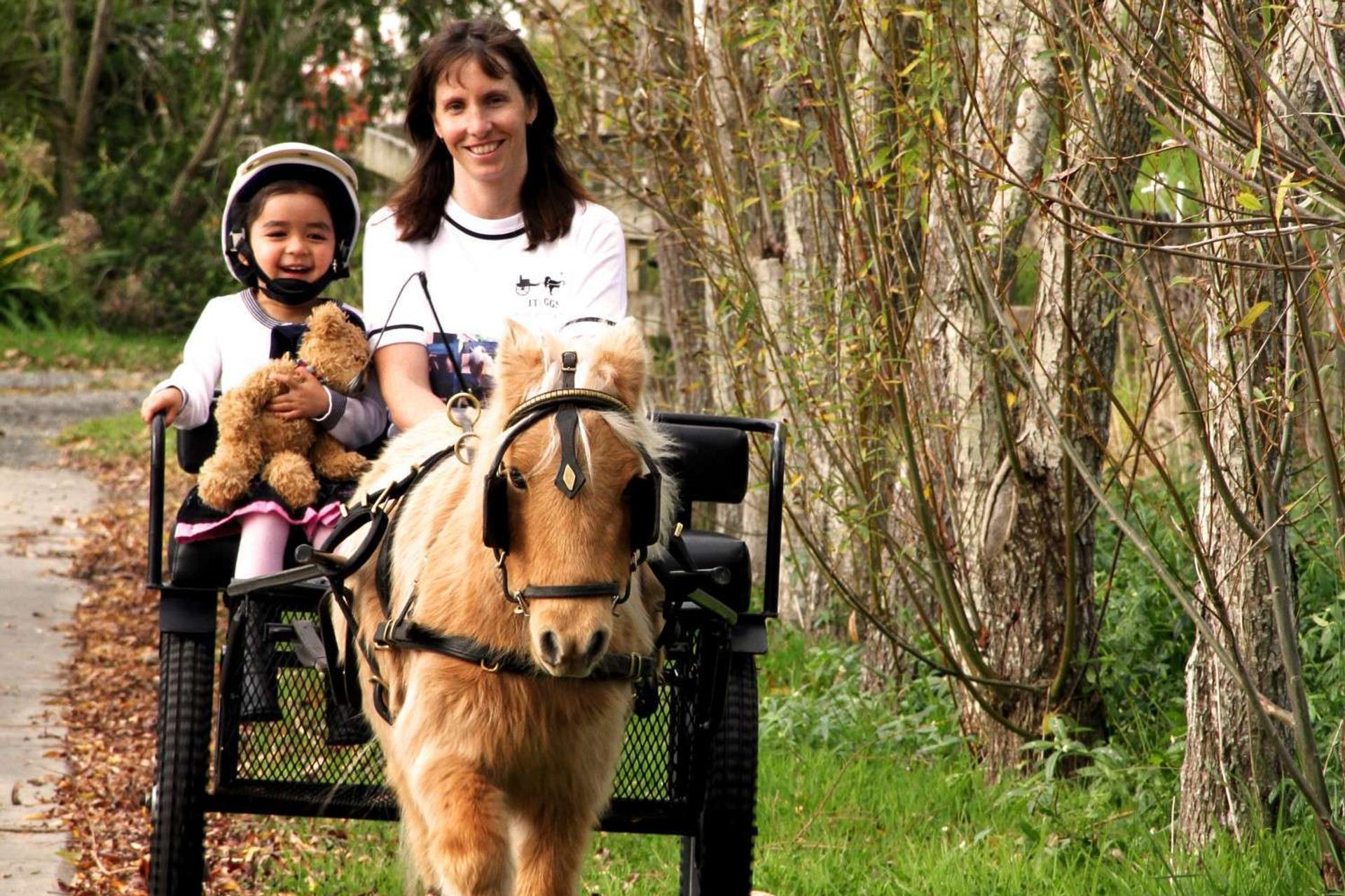 ITI GGS Miniature Horses and Cart, Helensville