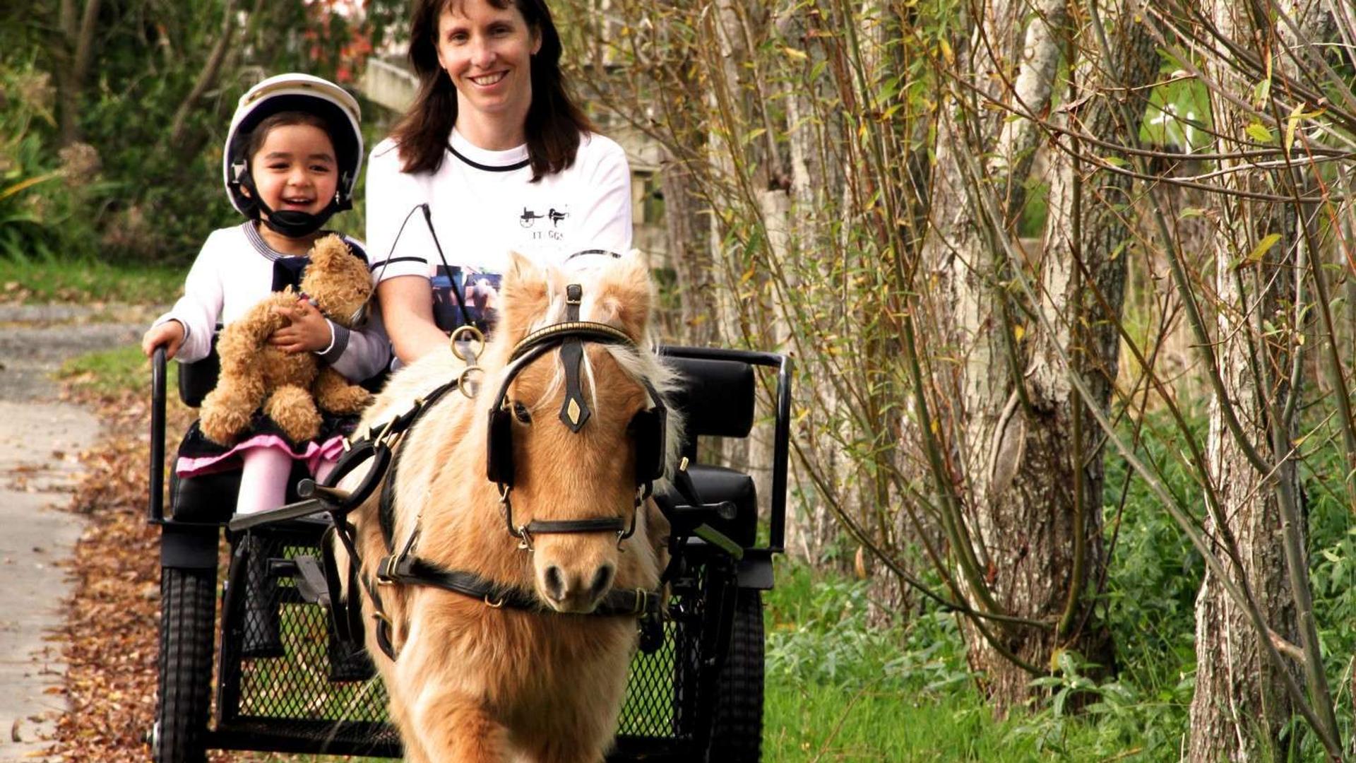 ITI GGS Miniature Horses and Cart, Helensville