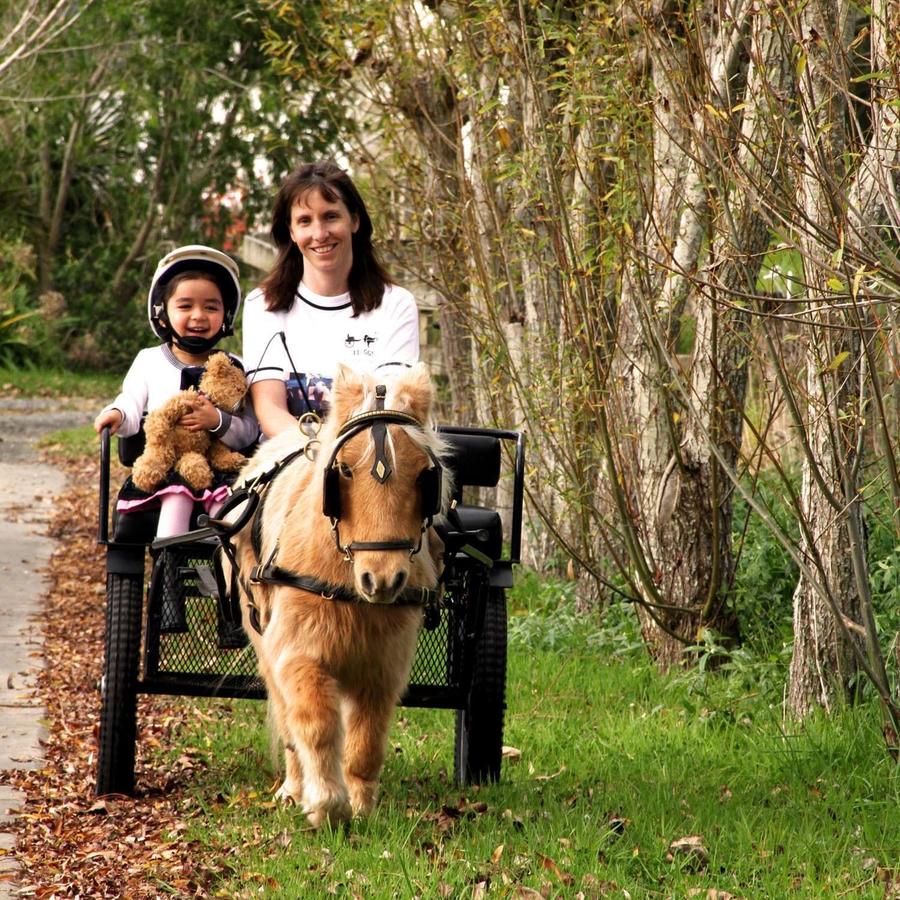 ITI GGS Miniature Horses and Cart