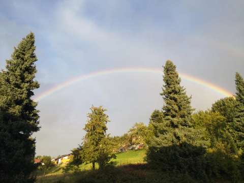 Regenbogen am Hang