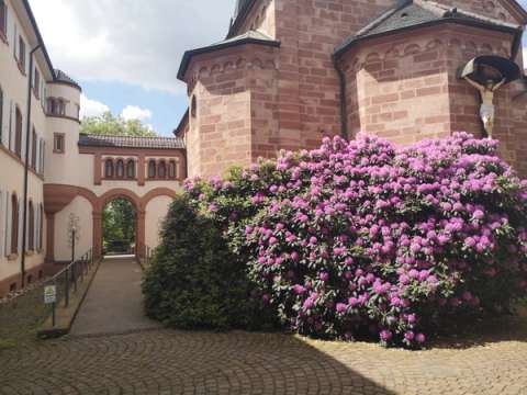Der Innenhof