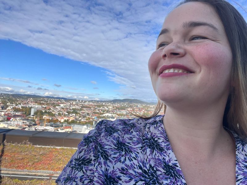 Hva gjør en IT-konsulent? 