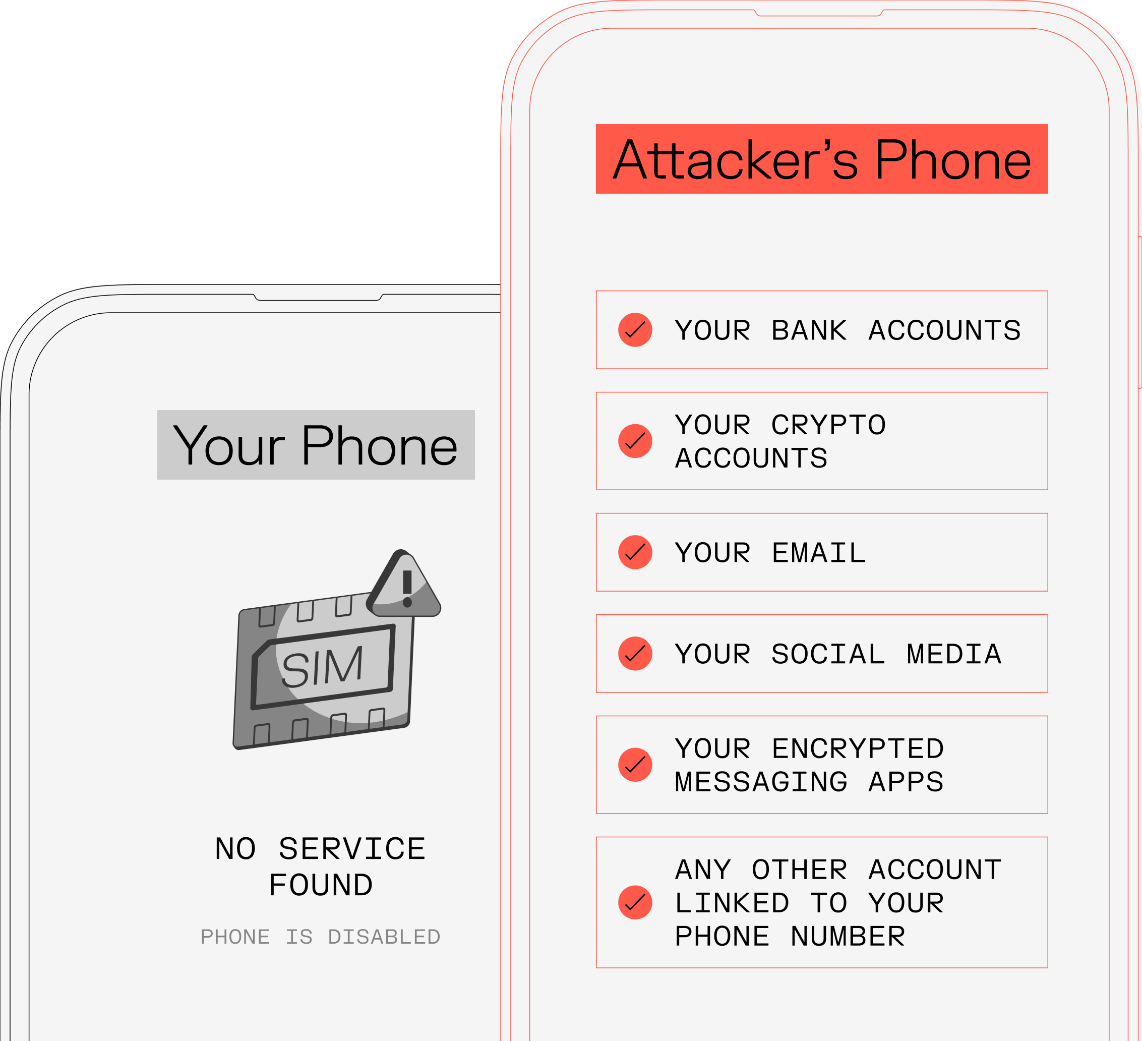 An illustration showing what a hacker can gain control of using a swim swap