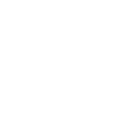 Digital force protection icon