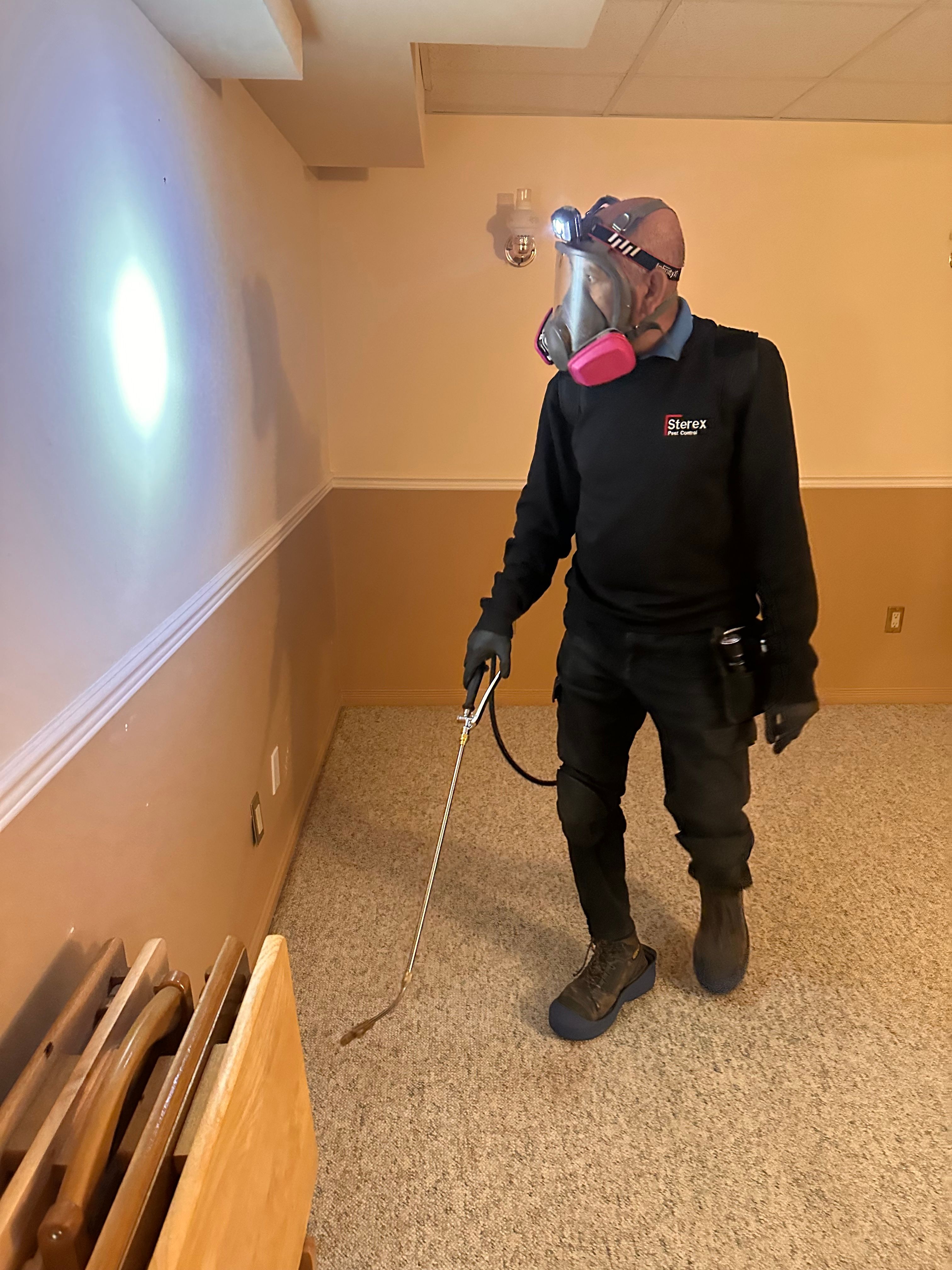Why Every New Home Buyer Should Schedule a Pest Control Inspection & Treatment