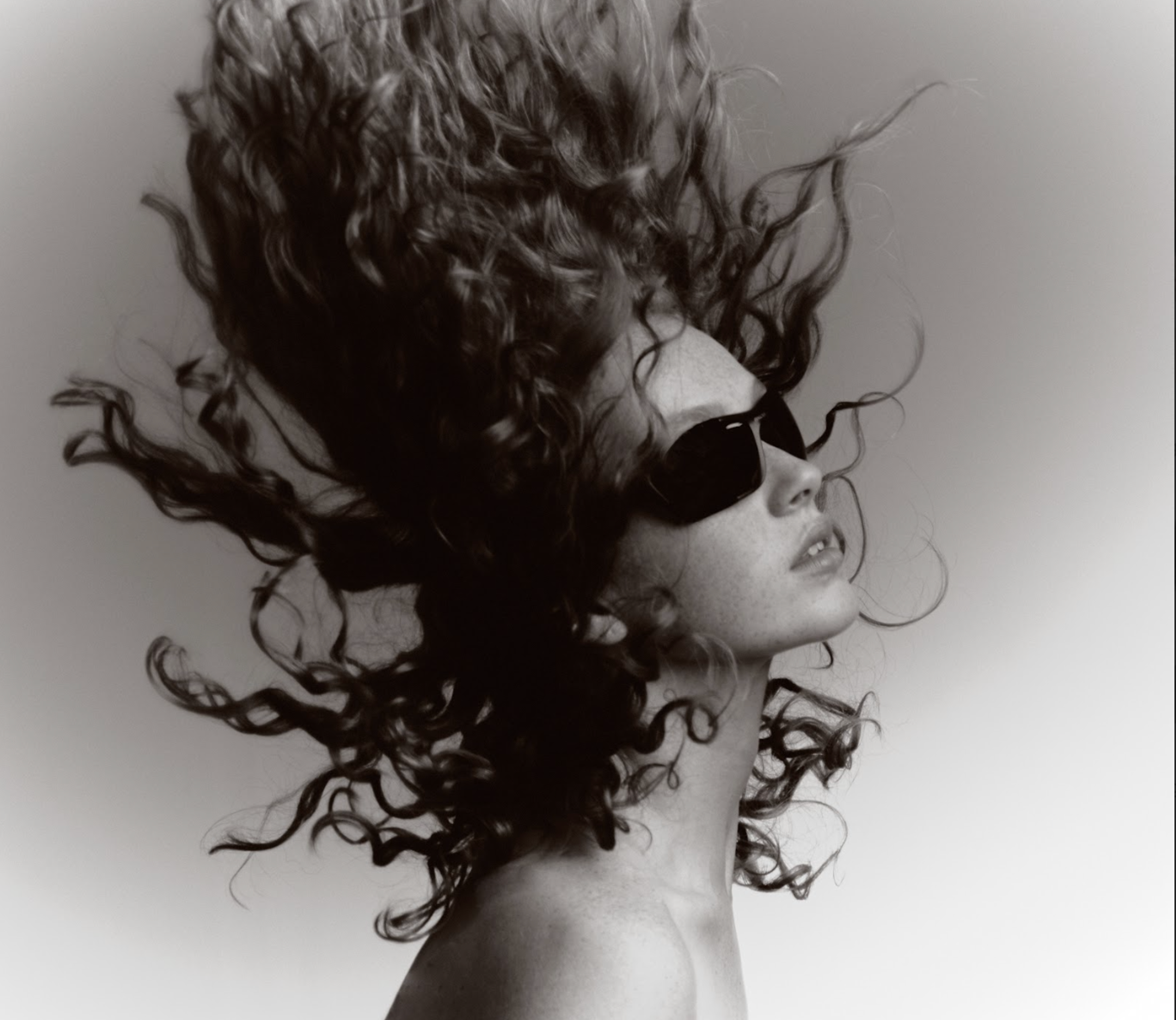 Halcyon Eyewear