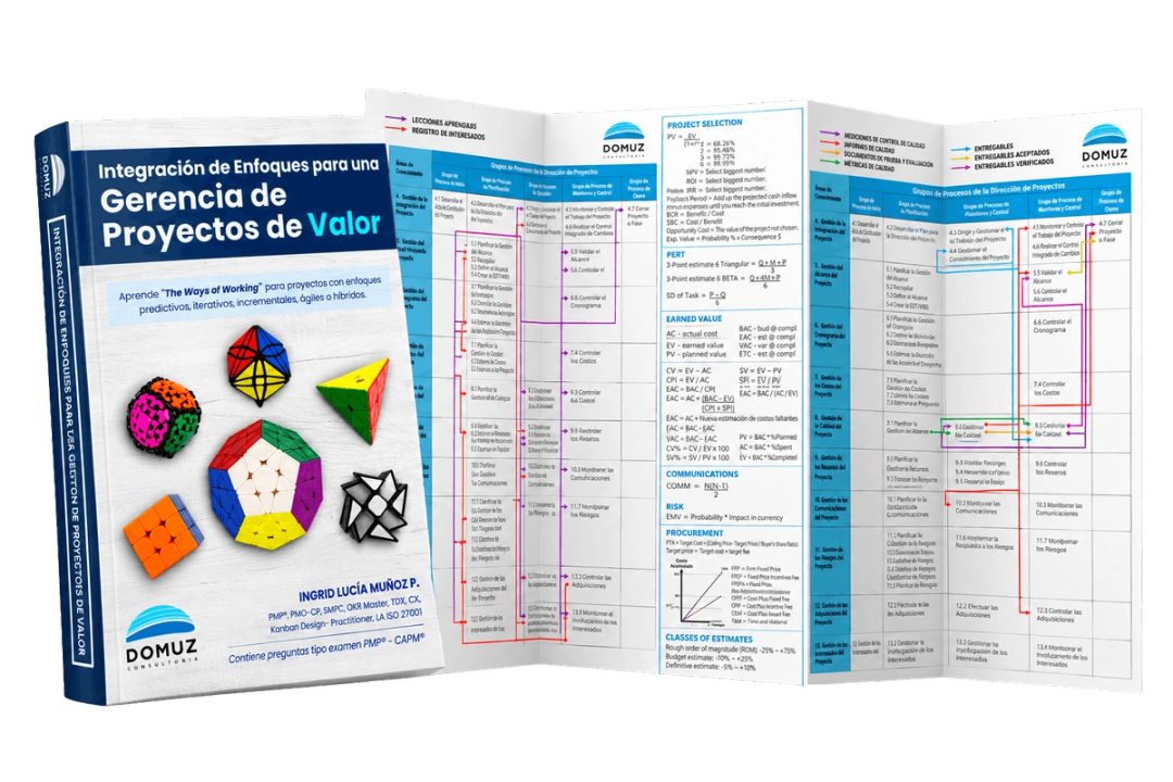 Kit Basics: Libro y Plegable Domuz