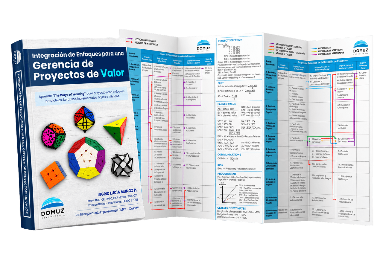Kit Basics: Libro y Plegable Domuz