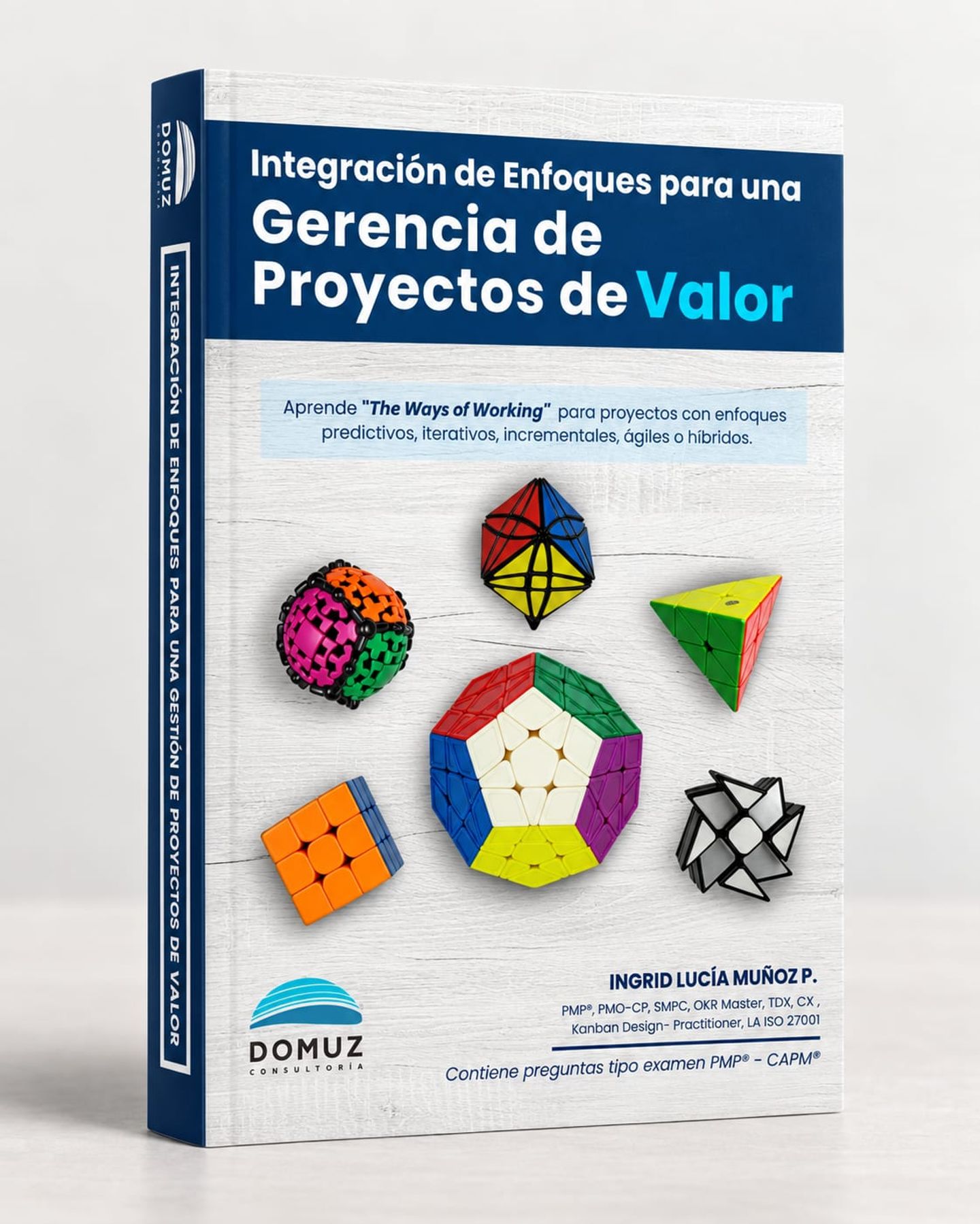 Portada del libro con el título Integración de enfoques para una gerencia de proyectos de valor y varios cubos de Rubik de distintas formas