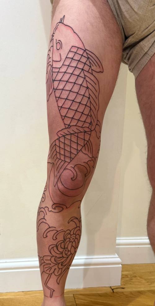 Fresh outline of the koi on the right thigh and a chrysanthemum on the shin, seen from the front