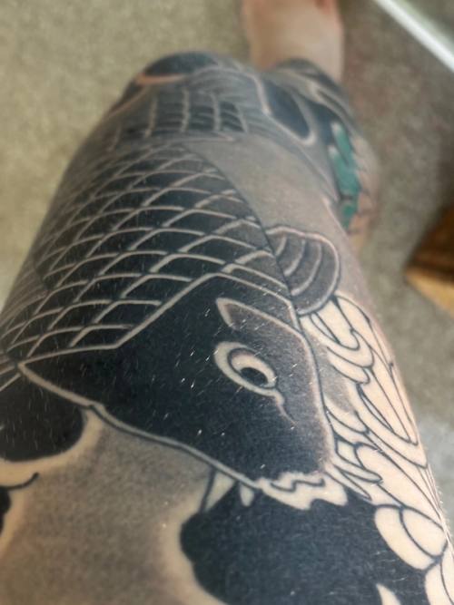 Close-up of the koi on the thigh, a fine layer of flaky skin lifting as it heals