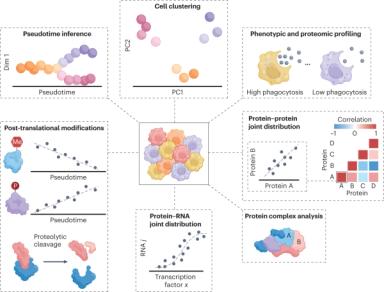Initial recommendations for performing, benchmarking and reporting single-cell proteomics experiments