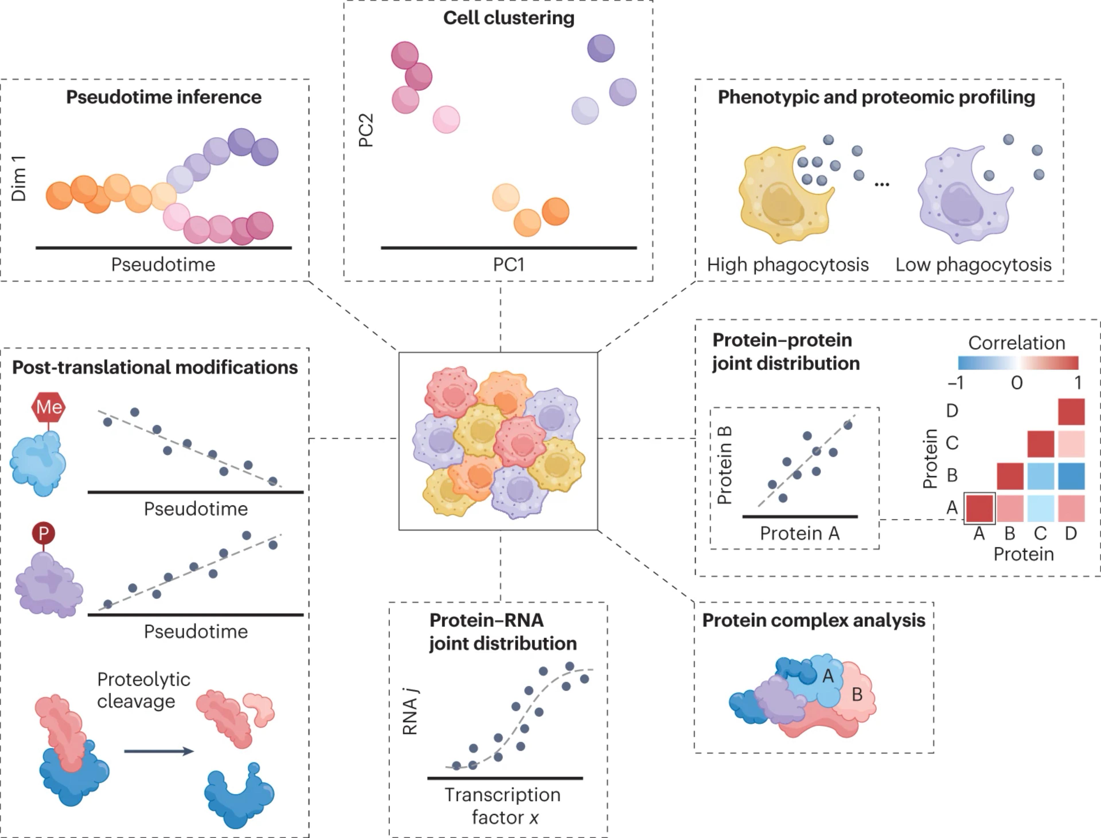 Initial recommendations for performing, benchmarking and reporting single-cell proteomics experiments