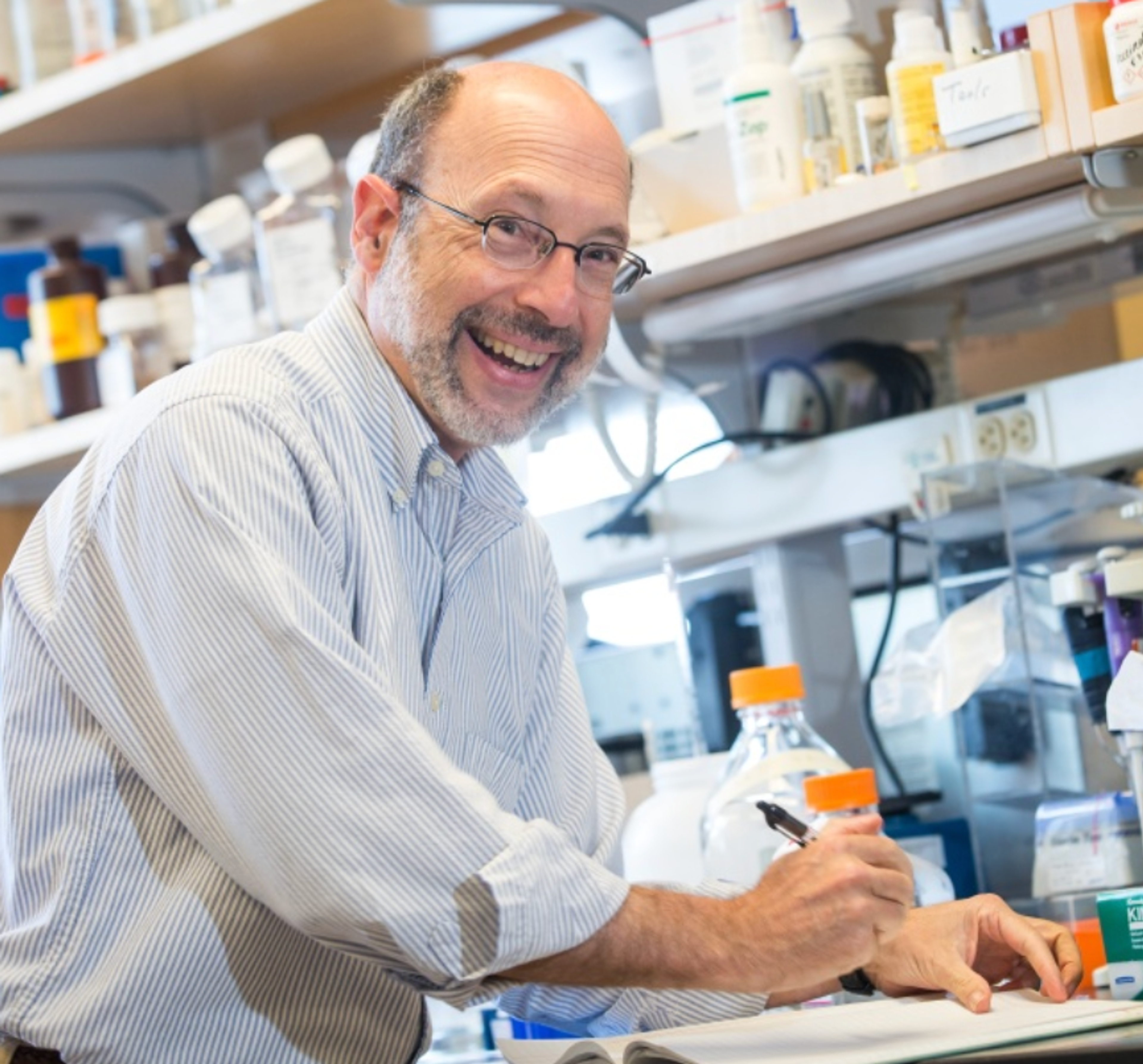 Brad Hyman, M.D., Ph.D.