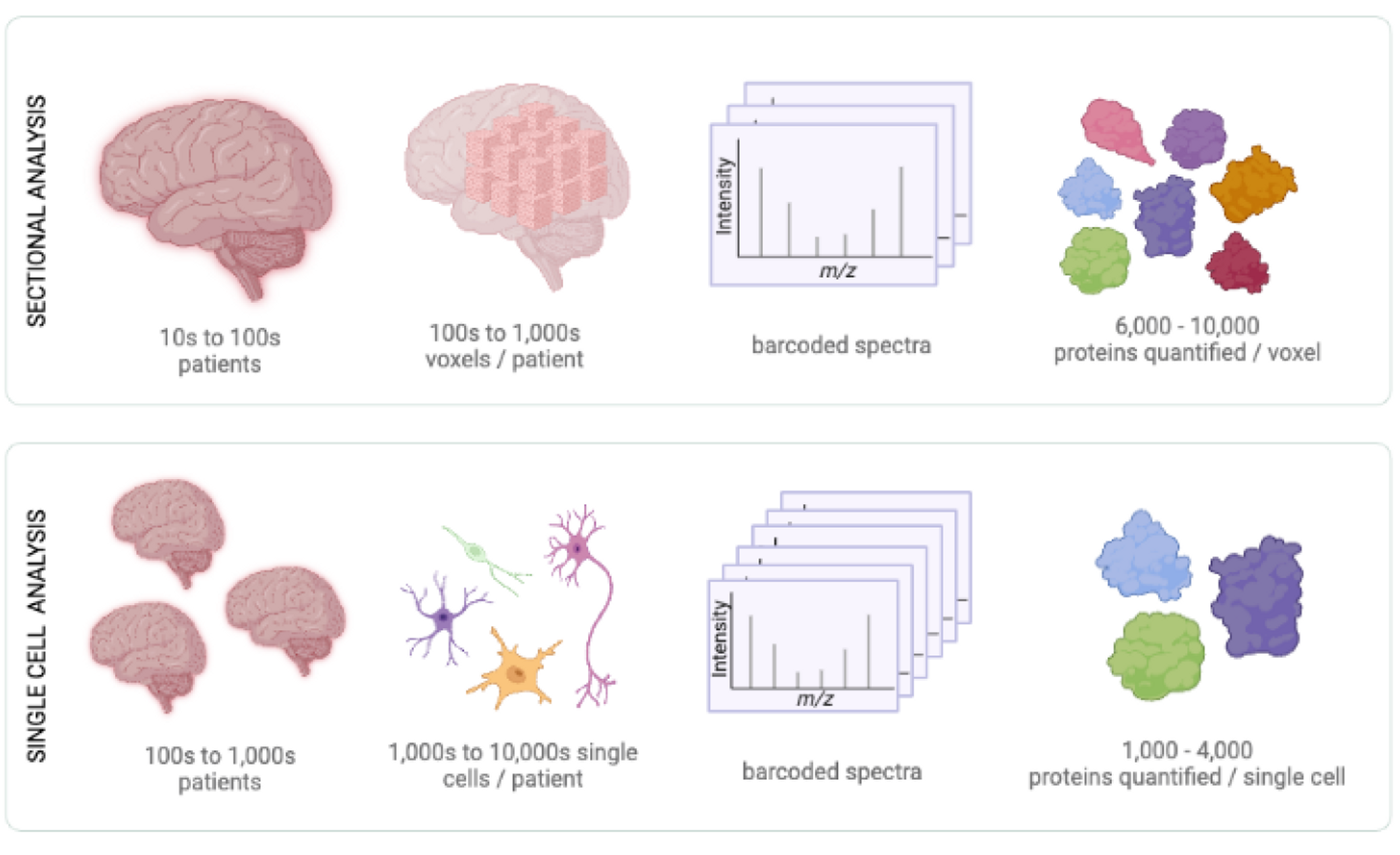 Alzheimer's Research Diagram