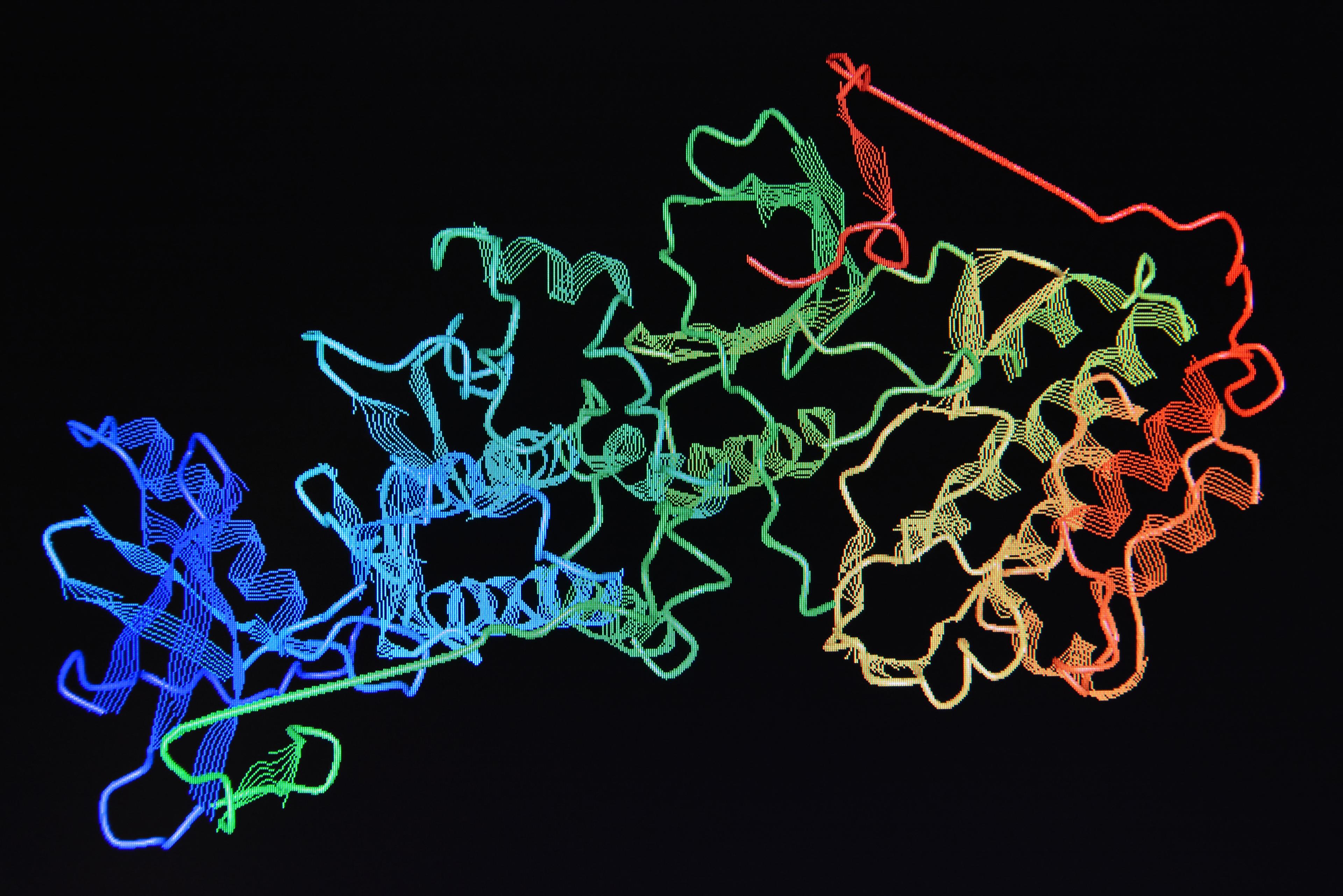 Protein structure