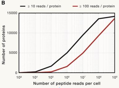 Counting protein molecules for single-cell proteomics