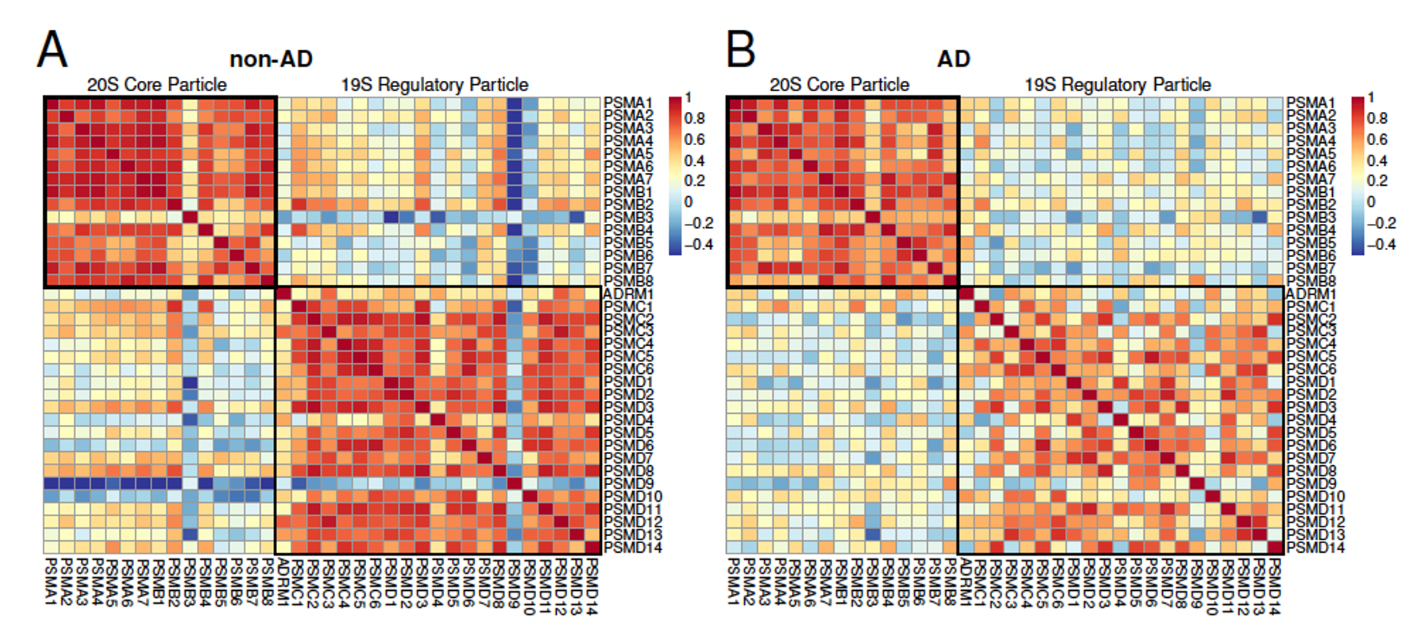Proteasome subunit stoichiometries in non-AD and AD samples.