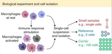 Multiplexed single-cell proteomics using SCoPE2