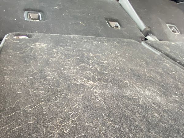 Customer photo from Christina Horton's Google review for Maximum Mobile Car Detailing