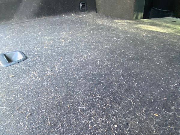Customer photo from Alexandra Barnes's Google review for Maximum Mobile Car Detailing