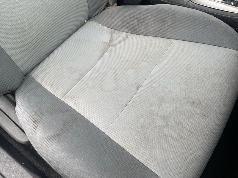 Vehicle spot before targeted detail showing localized stain or contamination needing focused treatment