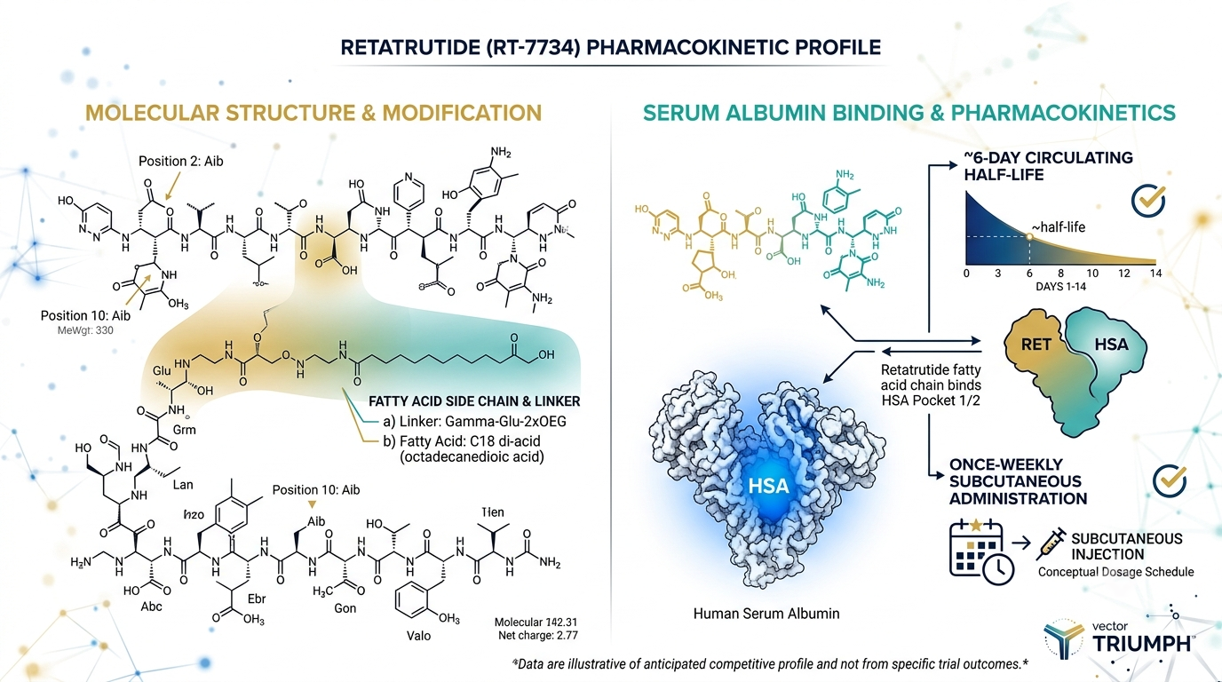 Molecular structure diagram of retatrutide showing fatty acid side chain, albumin binding mechanism, and 6-day half-life for once-weekly dosing