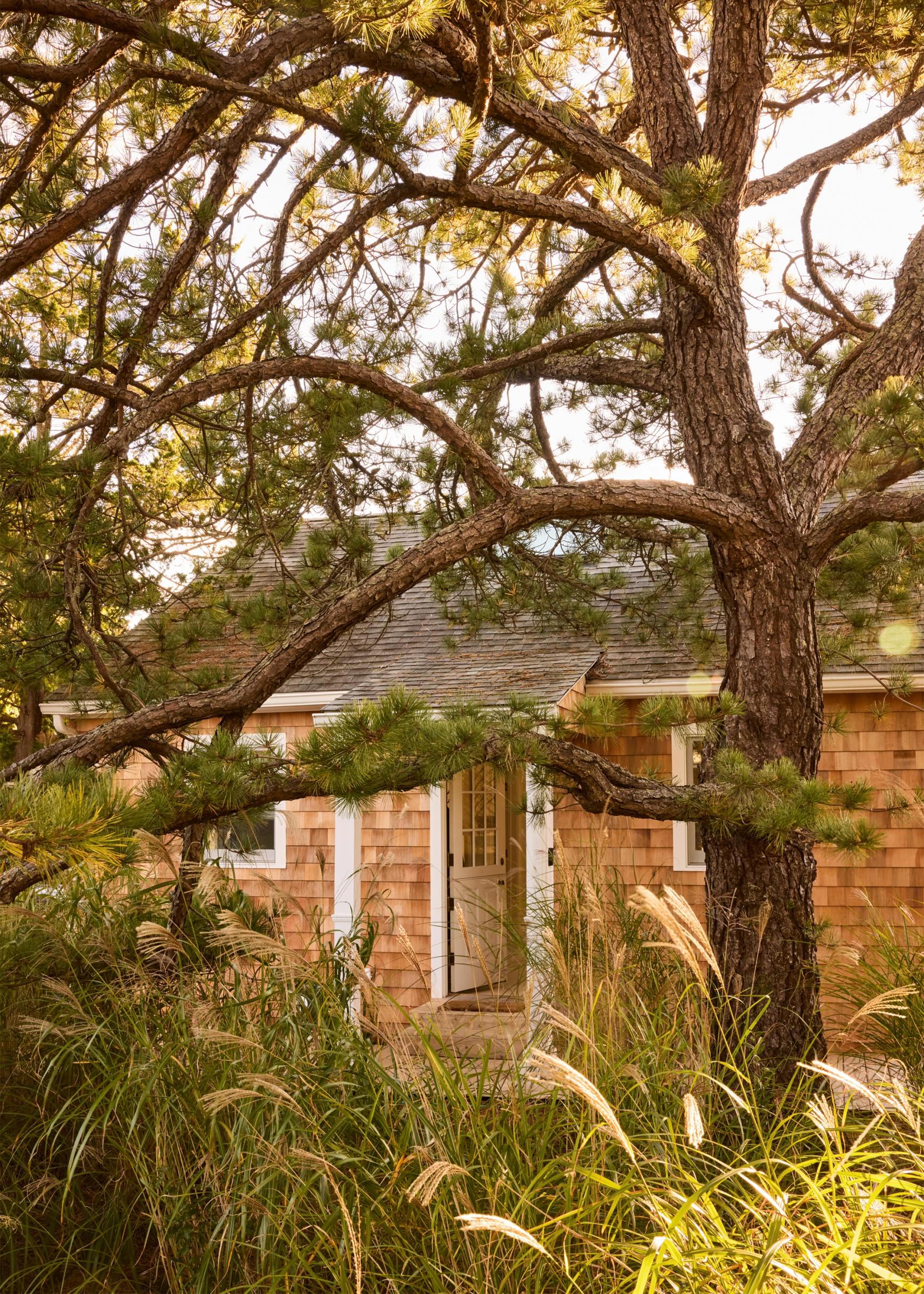 Exterior of beach shack, cedar singles