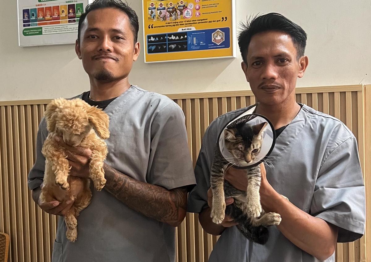 Mitra Kesehatan Terpercaya