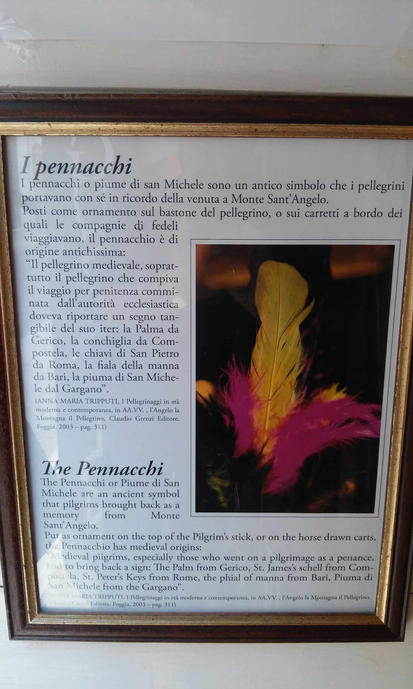 Immagine da “I pennacchi di San Michele”