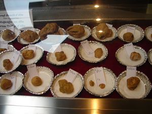 Immagine dall’articolo “Il “tartufo”… questo prezioso tubero!”