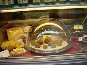 Immagine da “Il “tartufo”… questo prezioso tubero!”