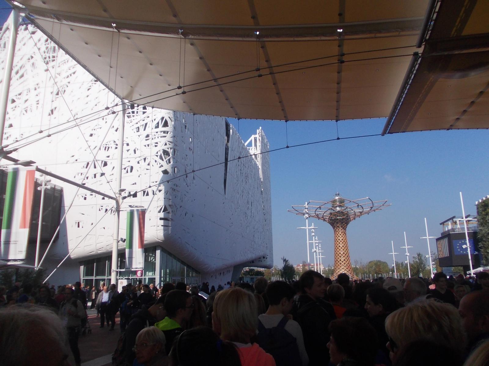 Pad Italia e Albero dV