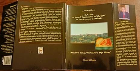 Copertina del libro con alette dispiegate