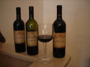 Immagine da “La “Cantina Ferrazzano” a Poggio Imperiale.”