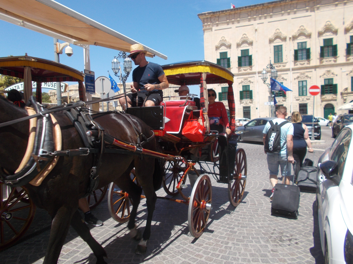 Immagine dall’articolo “Una vacanza a Malta”