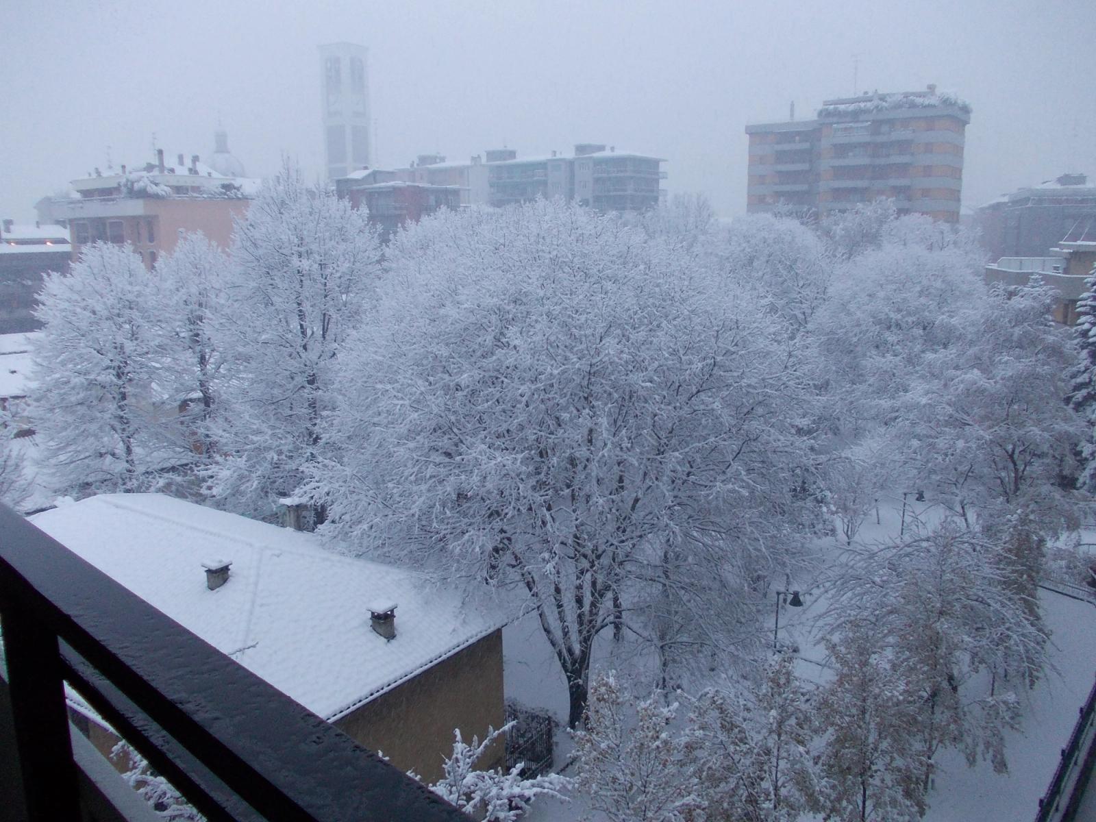 Immagine da “Ed ecco la neve a Milano!”