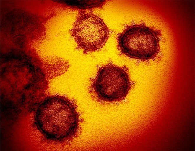 Immagine dall’articolo “In Lombardia ai tempi del coronavirus”