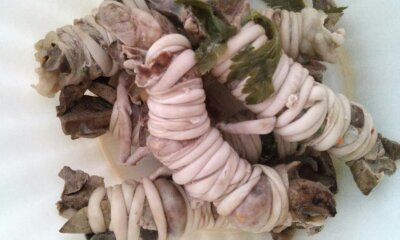 Torcinelli di agnello