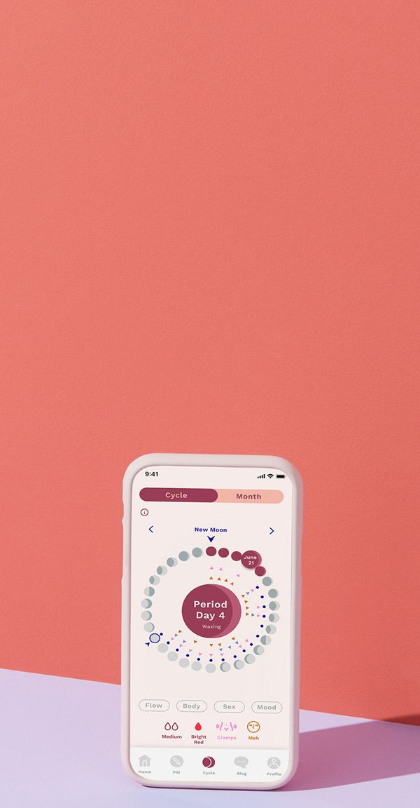 Smart Birth Control Case Don't Miss Birth Control Pills Emme