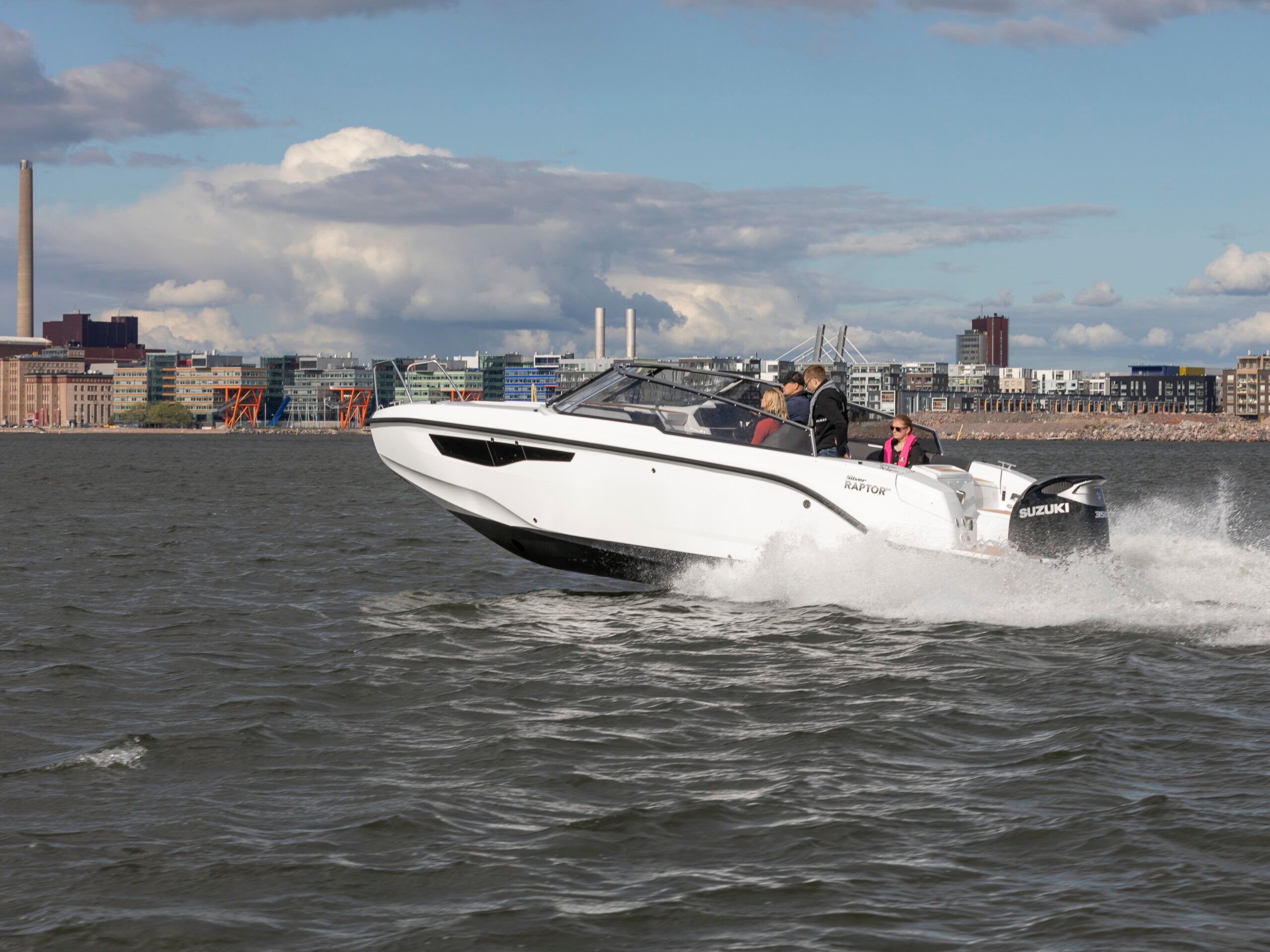 Silver Raptor DCZ - detal 2