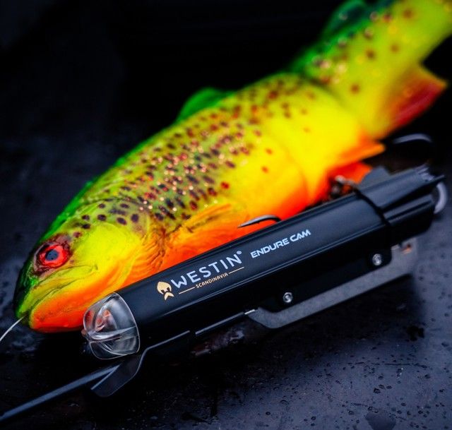 Westin Fishing