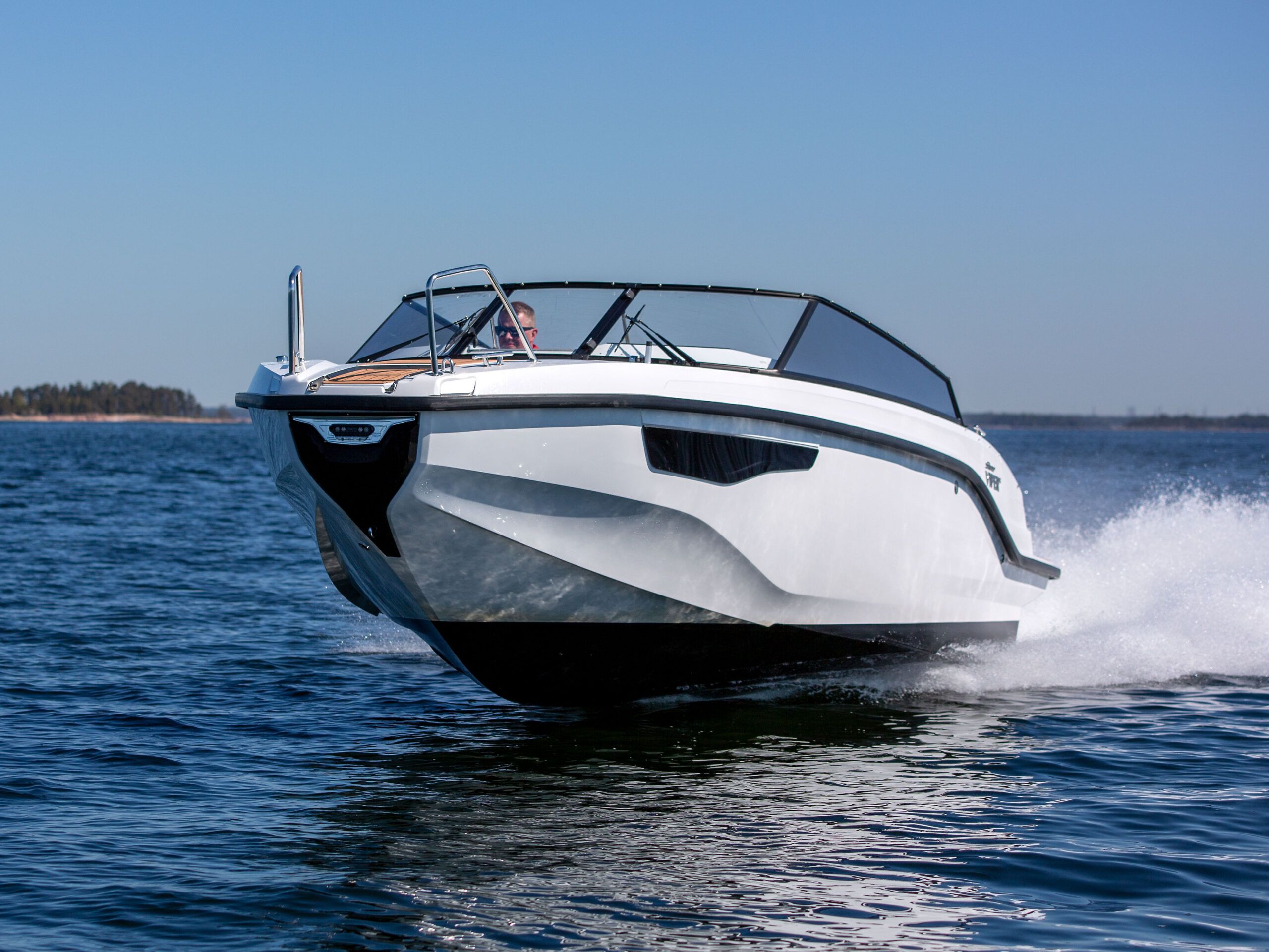 Silver Viper DCZ - detal 2