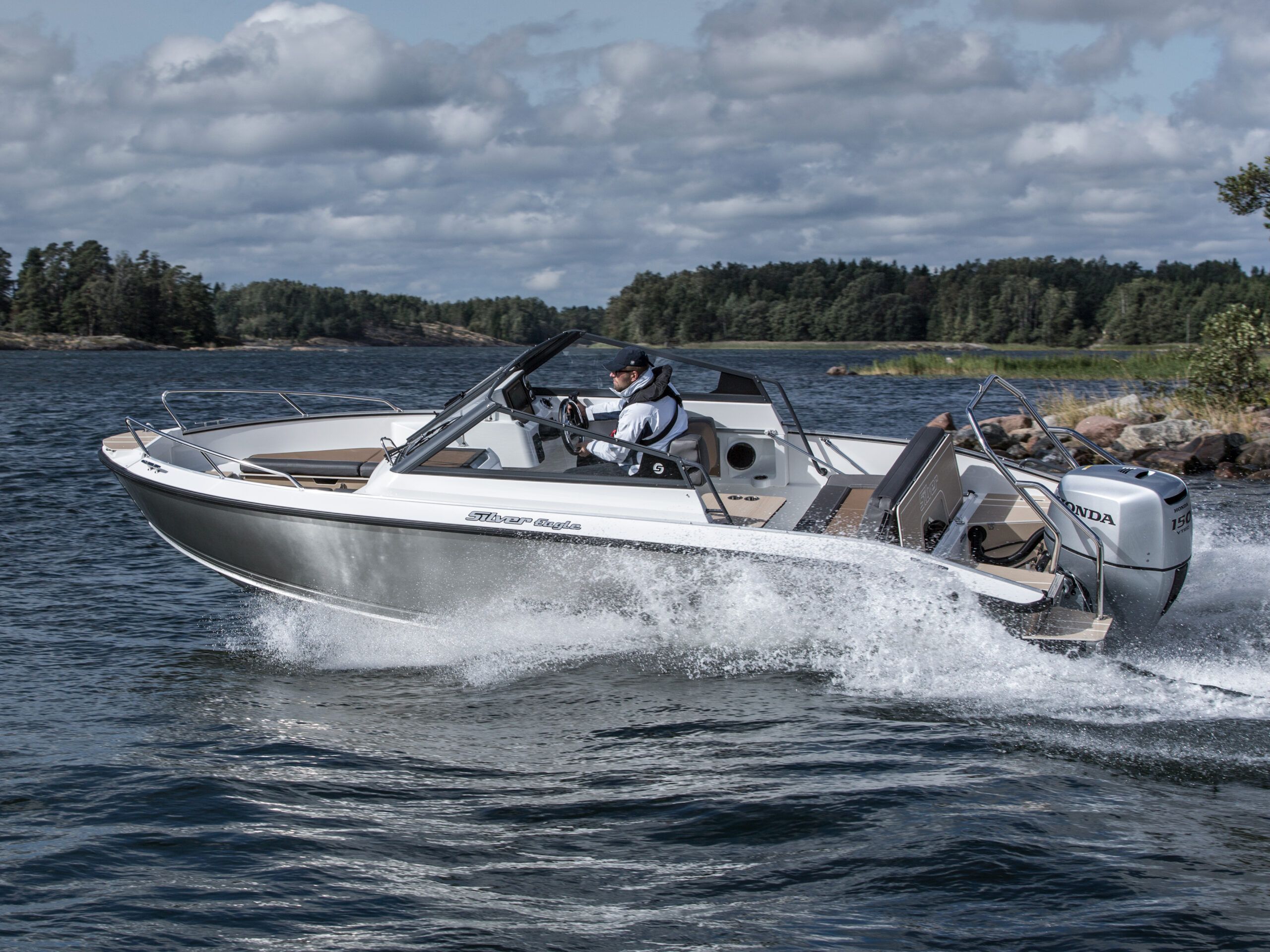 Silver Eagle BR - detal 2