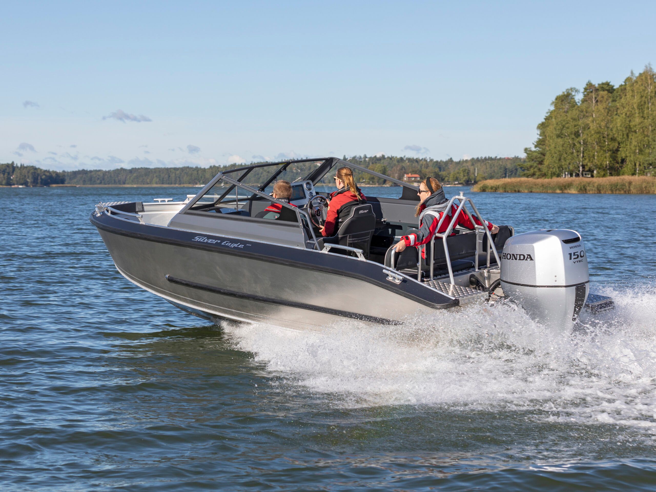 Silver Eagle BRX - detal 2