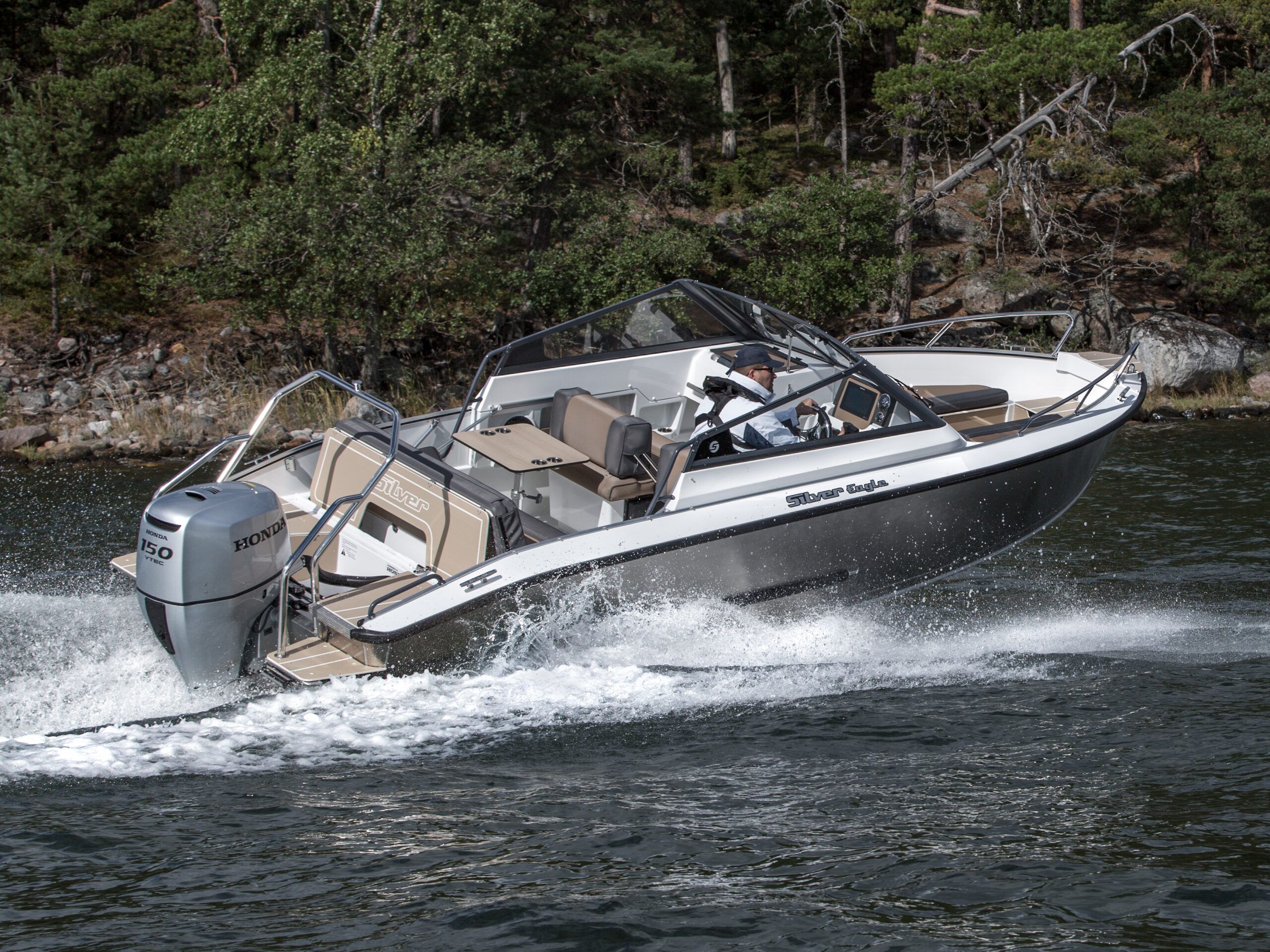 Silver Eagle BR - detal