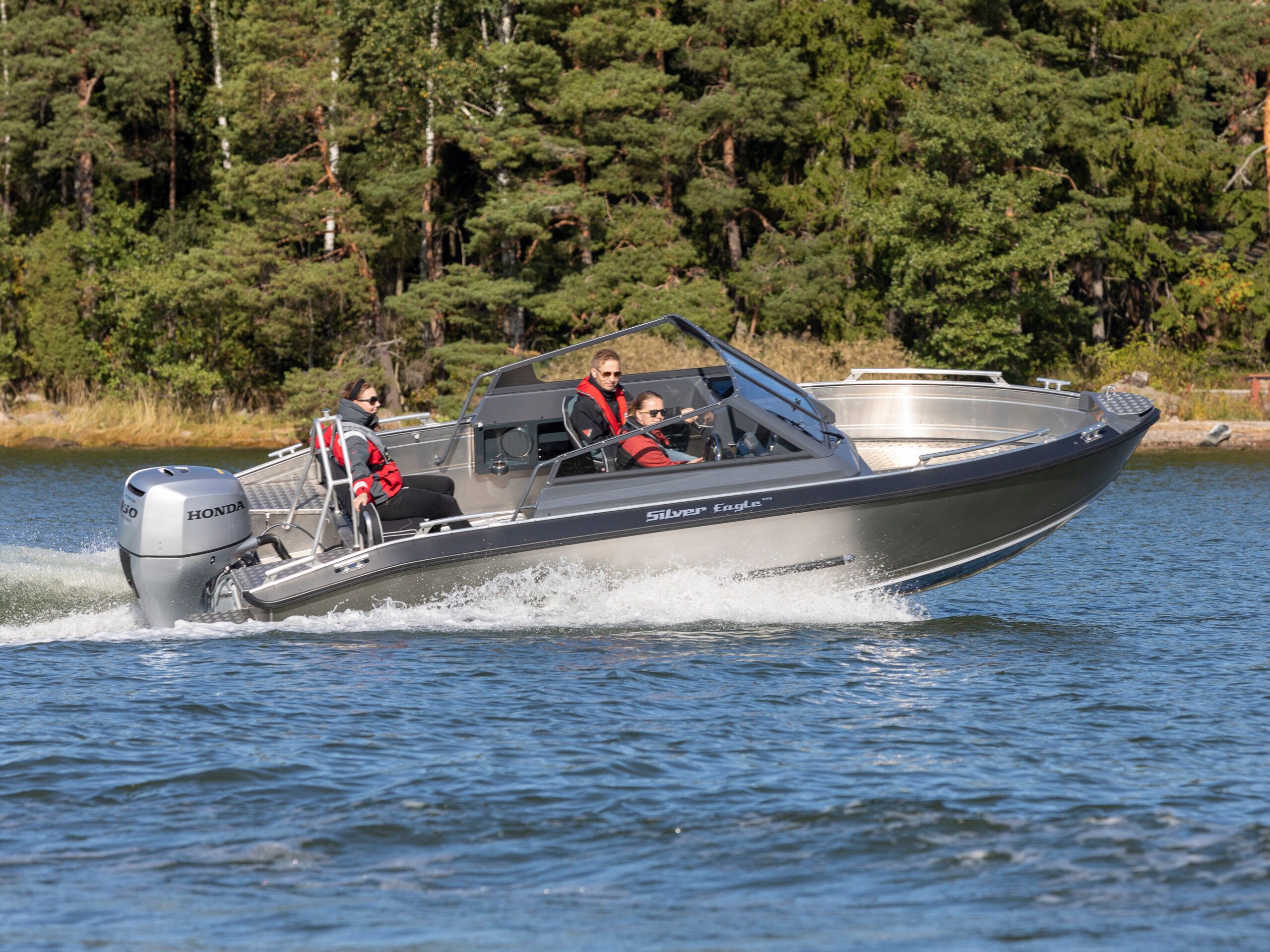 Silver Eagle BRX - detal