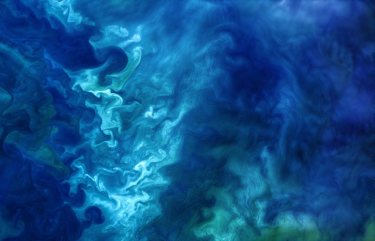 Phytoplankton bloom
