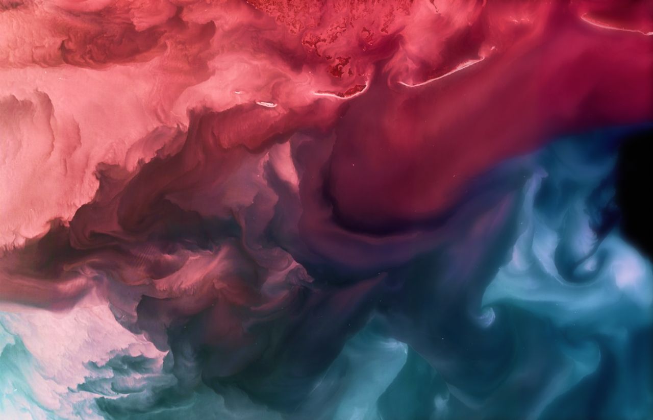 phytoplankton bloom