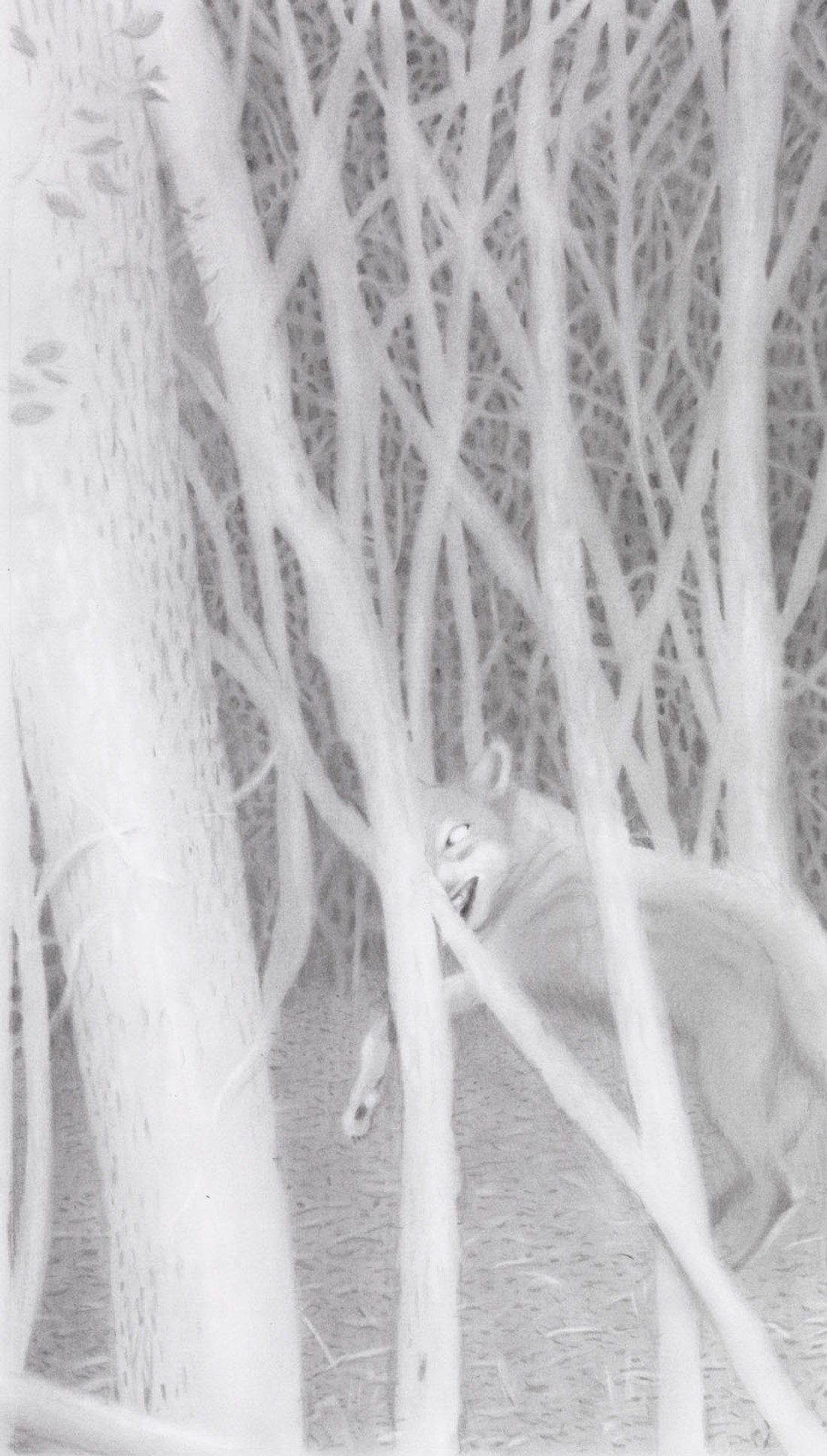 Maureen Paley – James Pyman